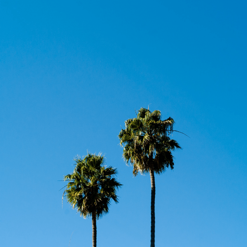 Στυλ Προσκόλλησης στις Σχέσεις